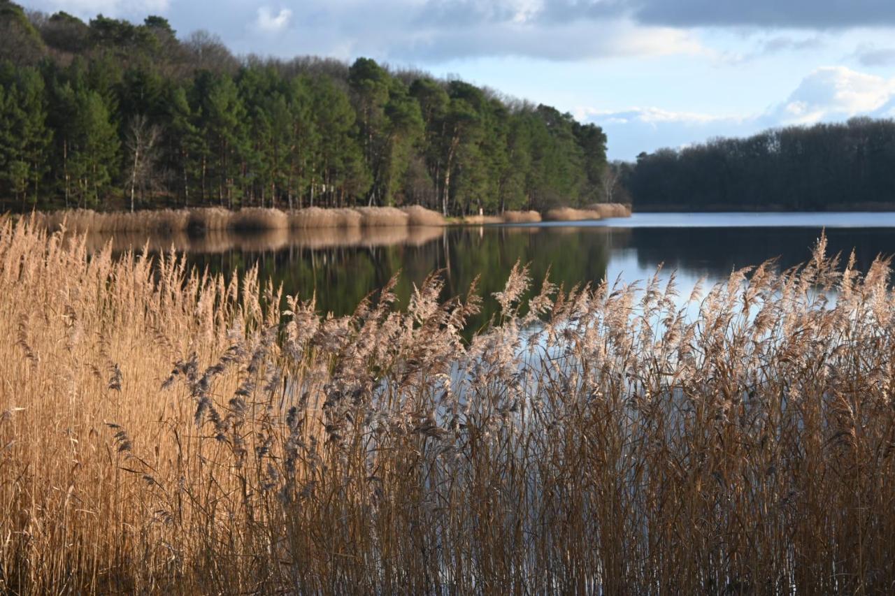 Aux 3 Forets Bizeneuille Buitenkant foto